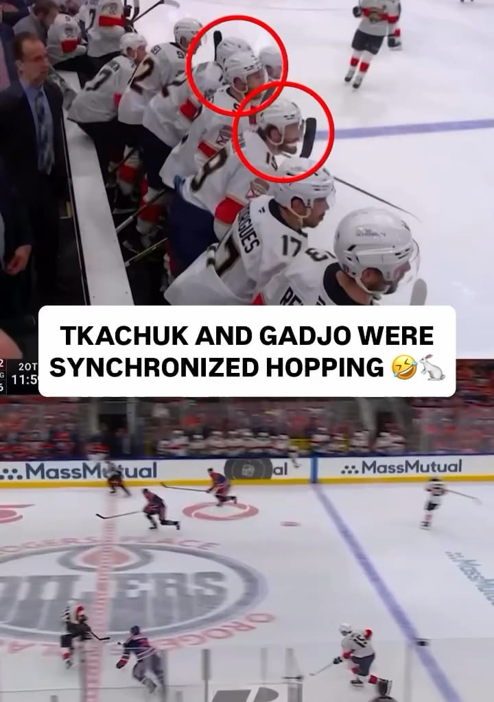 Tkachuk &Gadjo Bunny Hopping On The Bench