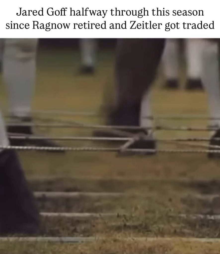 Back to your regularly scheduled Lions