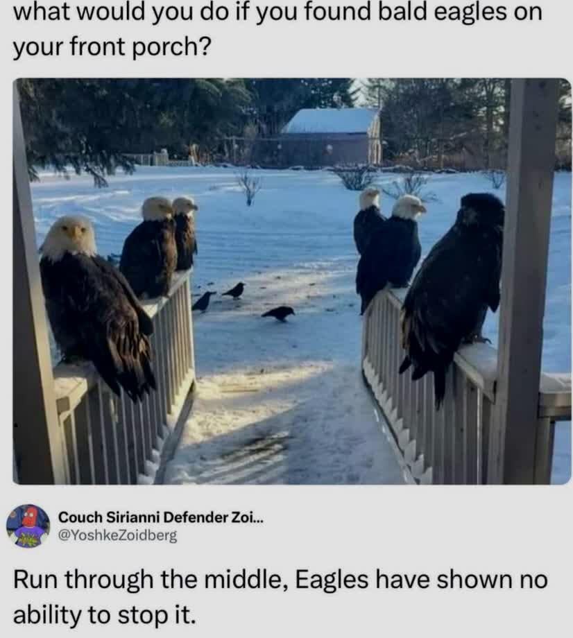 Run it up the middle. The eagles can't stop it anyway