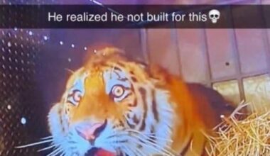 Best team WHO? 🧹🧹🧹