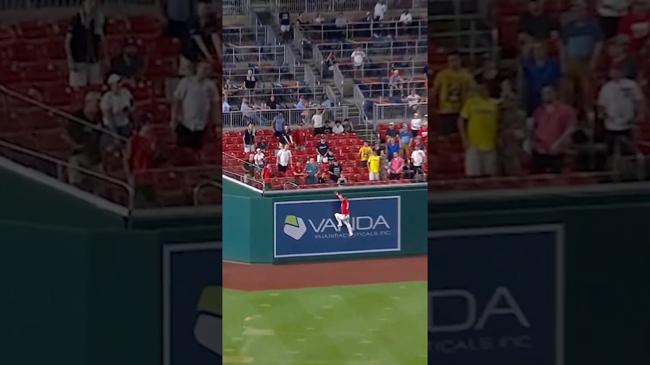 Jacob Young CATCH OF THE YEAR 🤯