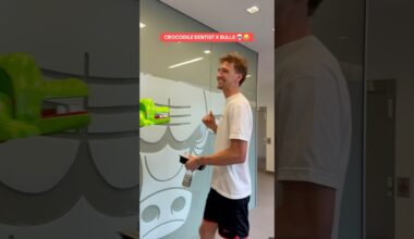 Summer league bulls ft crocodile dentist 💀😂