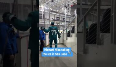 How will Misa perform in San Jose? 🤔 (via @SanJoseSharks/TT)