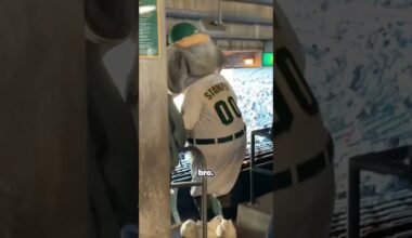 Oakland Coliseum Game Day Vibes with High Area Sports! #oaklandathletics #baseball #mlb