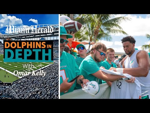 Dolphins in Depth: Dolphins secondary undergoing a makeover