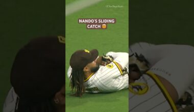 No one’s doing it like Nando #mlb #highlights #fernandotatisjr #padres