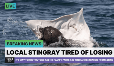 PGT: The unending parade of suffering shall continue. See you fine folk tomorrow for the trade deadline. [F/11: 4-5]