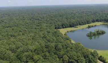 New 120-home and golf course development could be built on Johns Island