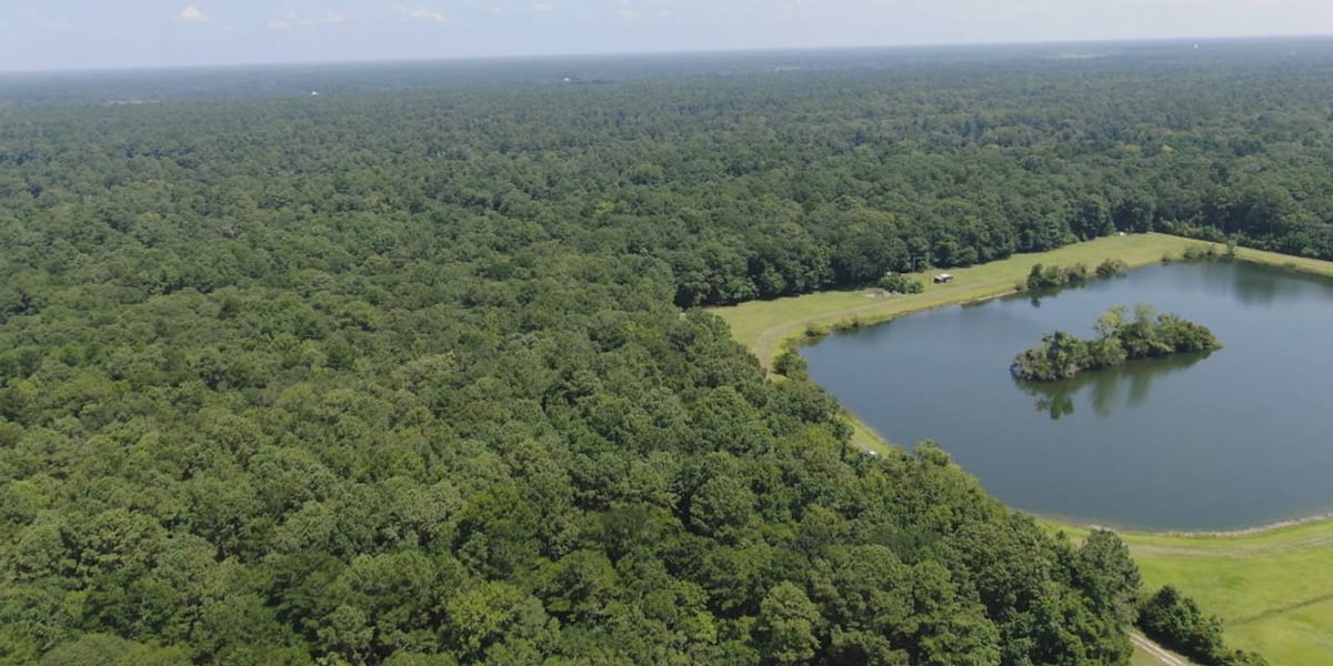 New 120-home and golf course development could be built on Johns Island