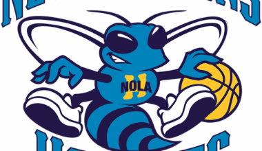 Why won't the Pelicans ever do a New Orleans Hornets throwback jersey for a game?