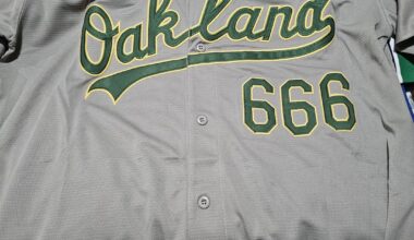 Gonna find out if they let me wear this one in the park