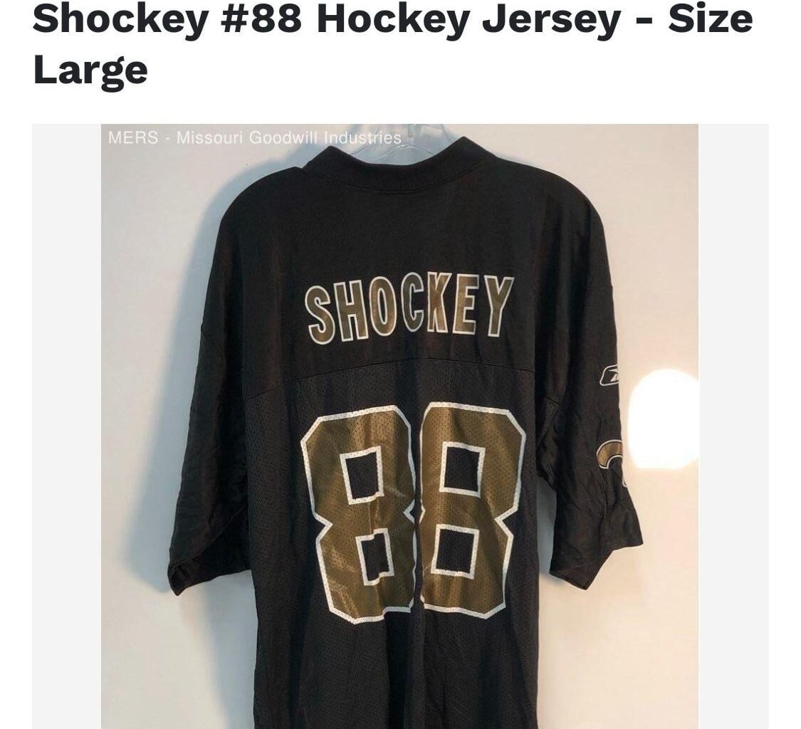 I thought you St. Louis hockey fans would like this 😆