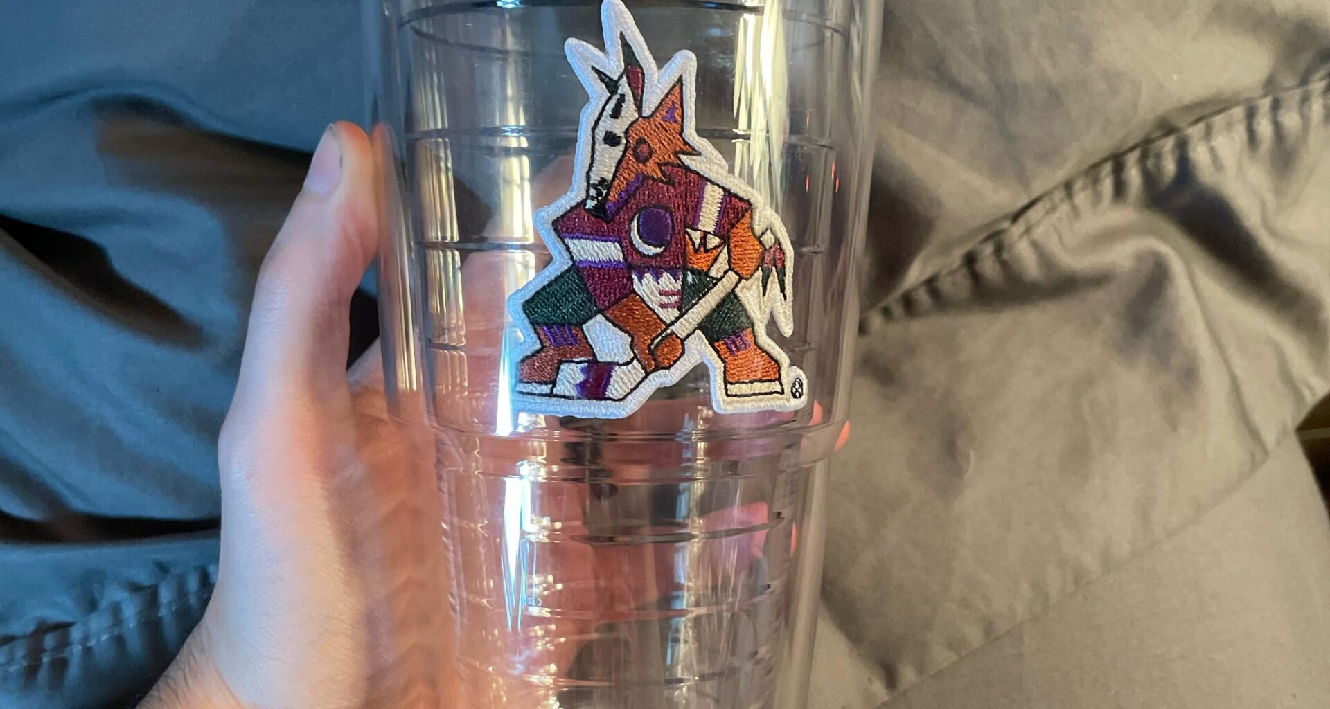 Just got this on sale for 8$ on NHL shop