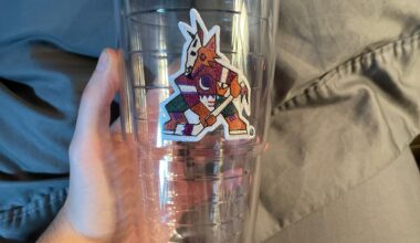 Just got this on sale for 8$ on NHL shop