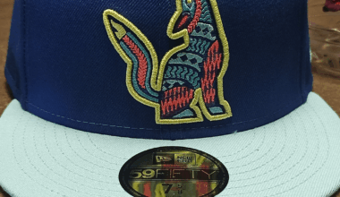 Would have been a sweet alt logo