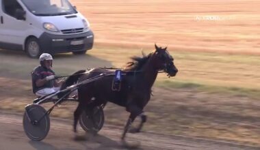 Nikola Jokic celebrates his horse winning the race