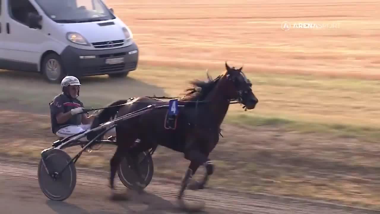 Nikola Jokic celebrates his horse winning the race