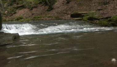 Bob is not only a terrible baseball team owner, he is a terrible range owner. get this guy outta Pittsburgh.