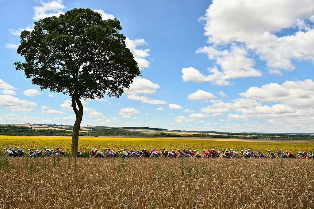 The pack of riders (peloton) cycles during the 4th stage of the 112th edition of the Tour de France cycling race, 174.2 km between Amiens Metropole and Rouen, Northern France, on July 8, 2025. (Photo by Marco BERTORELLO / AFP)