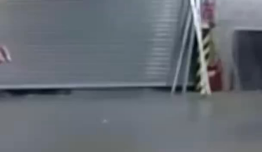 Finish them, Skednar