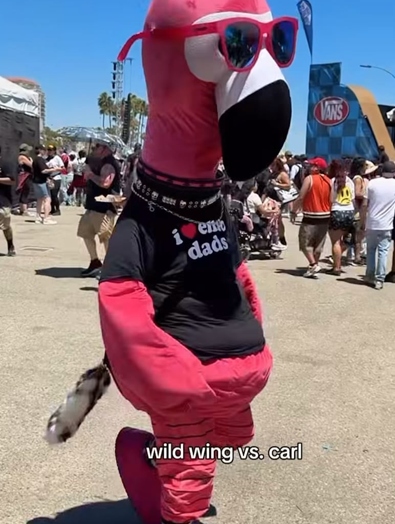 Wild Wing nearly gets into a scrap with Carl the Flamingo