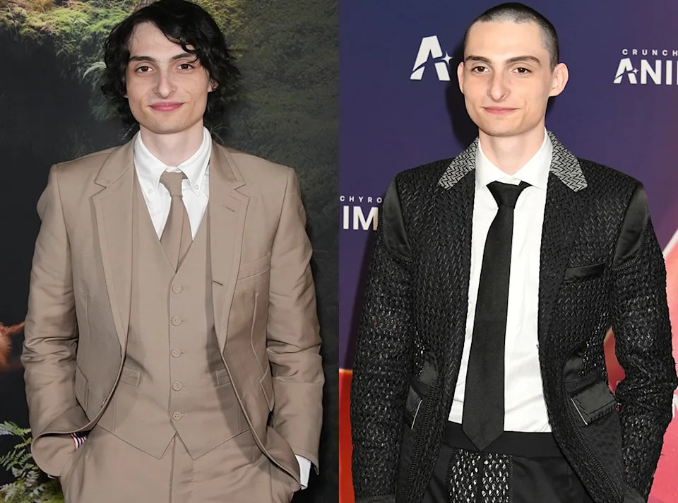 <p>Finn Wolfhard</p>