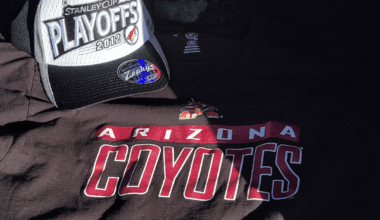 Just found these recently at a thrift store!