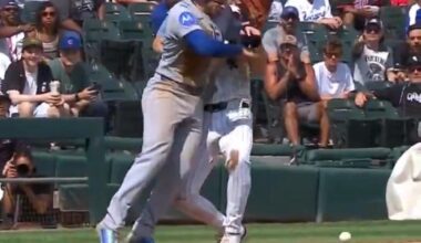 Cubs Win The Series!