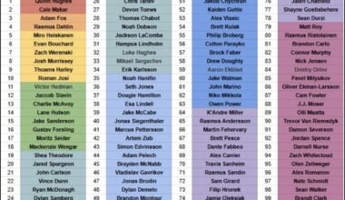 Per Guruelous, Top 100 Defenseman in the NHL(non-fan vote ranking).  Spurgeon 20th, Brodin 47th, Faber 57th