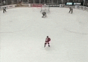 Who's better than Datsyuk at making hockey look like art?