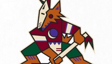 Anyone know who sells coyotes jerseys?