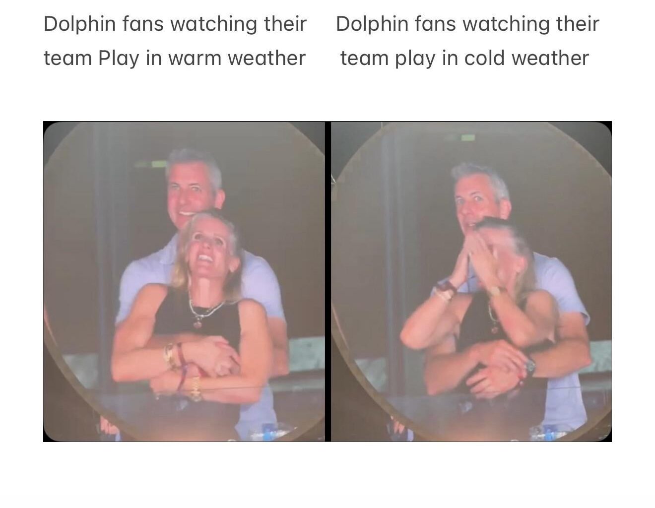 Dolphins Coldplay