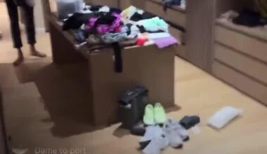 Giannis’s wife went live on his IG account to motivate him to kill a cockroach after the Dame to Portland news