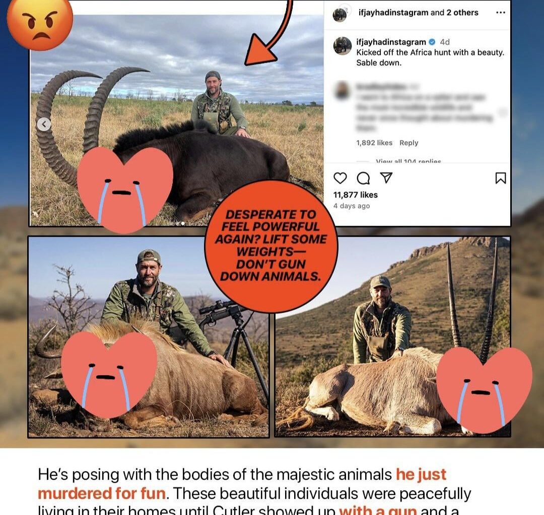Jay Cutler smokin the majestic wildlife in Africa