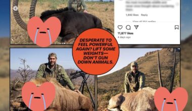 Jay Cutler smokin the majestic wildlife in Africa