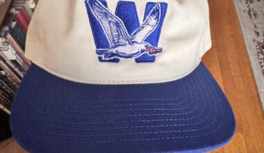 Somehow The Best And Silliest Purchase I've Made In A While