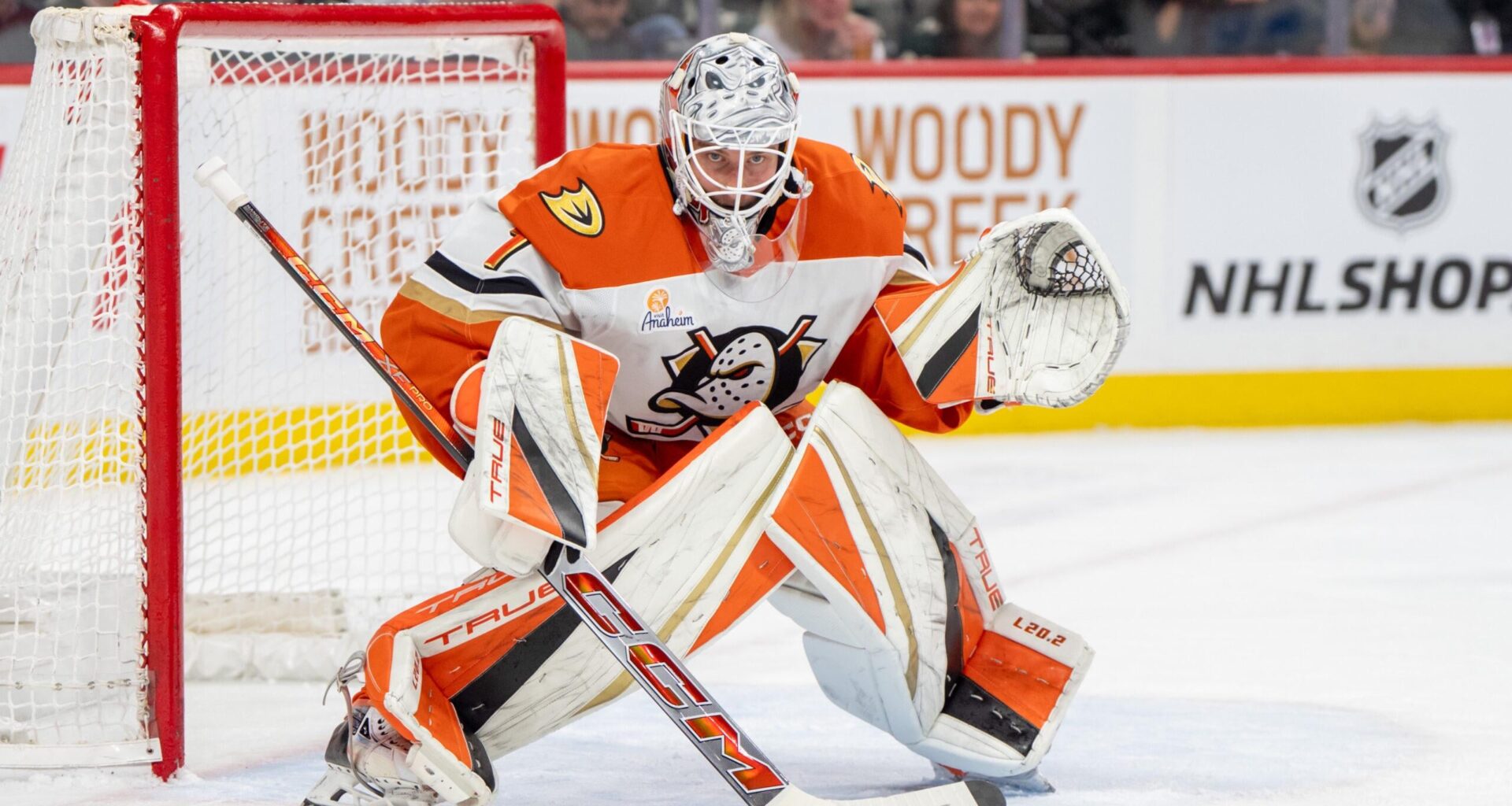 Anaheim Ducks Re-Sign Young Star Goaltender Lukas Dostal