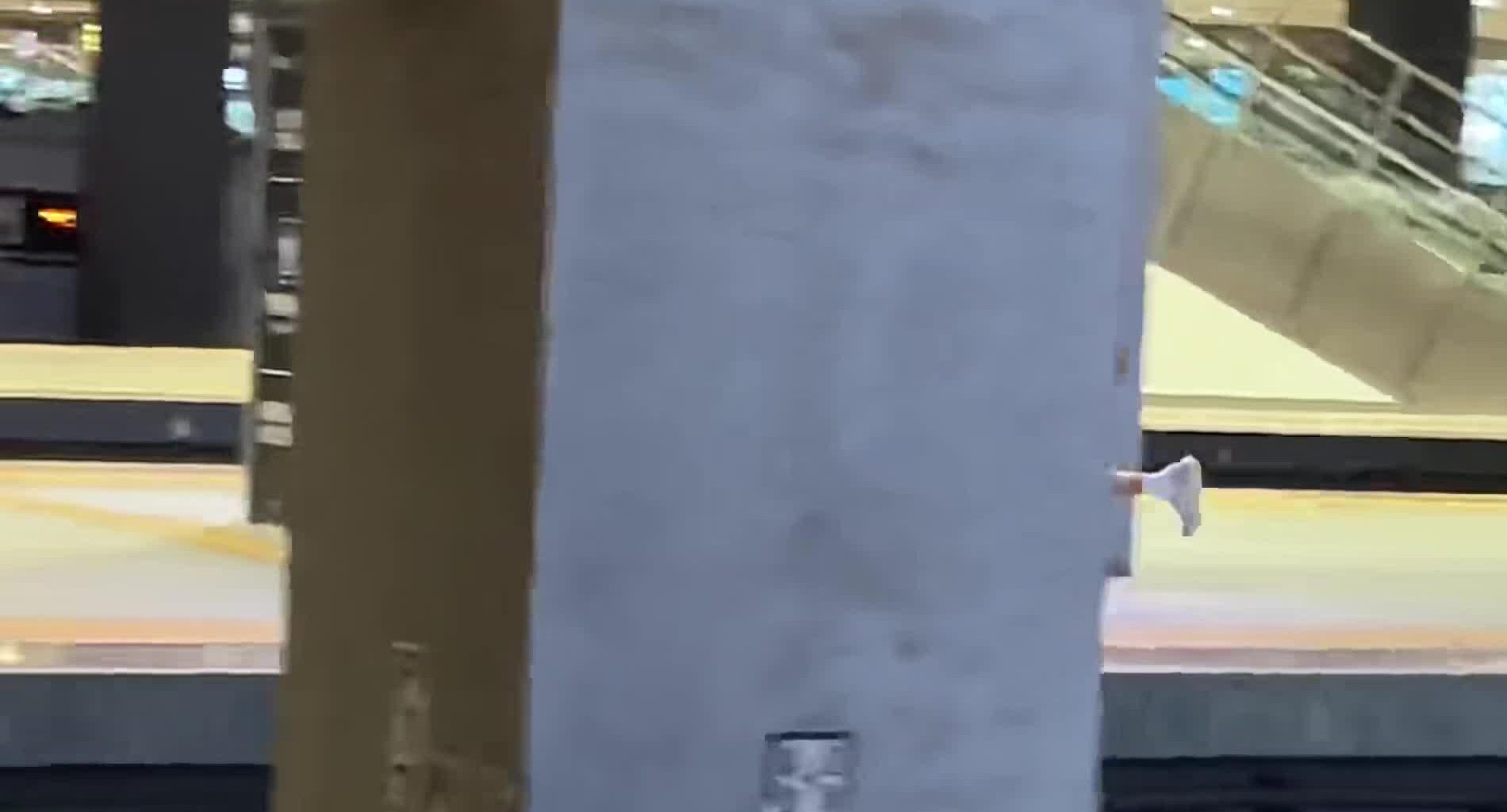 Jokic in China vs Train