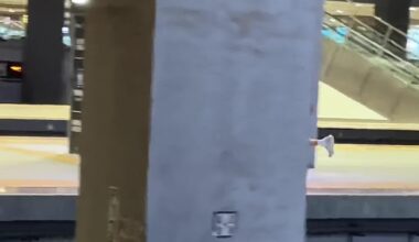 Jokic in China vs Train