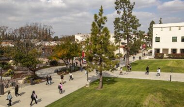 Profane message to anti-Trump writer costs LBCC coach his job