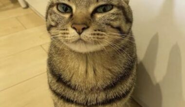 New to the NHL. Who's gonna win it next season?