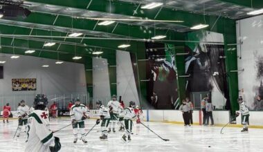 ‘They control everything’: How the Dallas Stars monopolized Texas youth hockey, (USA Today)