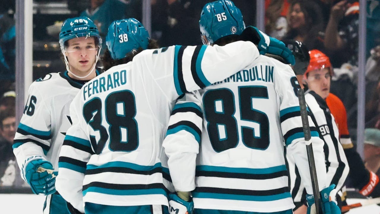 Early Look at San Jose Sharks 25-26 Defensive Pairings