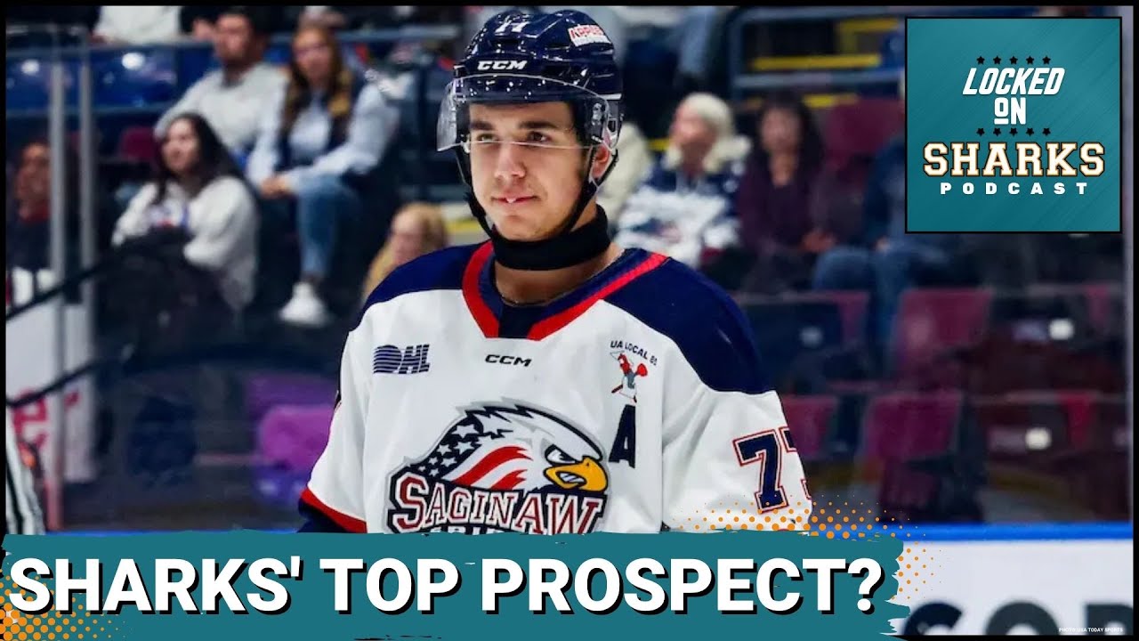 San Jose Sharks BOAST Top Prospect Pool In NHL | Top 15 Prospects REVEALED