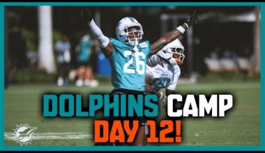 Miami Dolphins 2025 Training Camp Day 12: Tyreek Hill Absent!