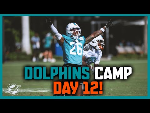 Miami Dolphins 2025 Training Camp Day 12: Tyreek Hill Absent!