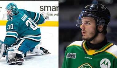 My Top 10 San Jose Sharks Prospects