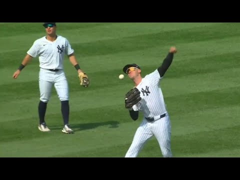 Astros just made childs play of the Yankees..Aaron Boone ejected again