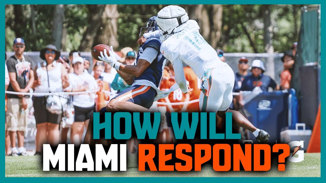 How Will The Miami Dolphins Respond To Getting Punched In The Mouth?!