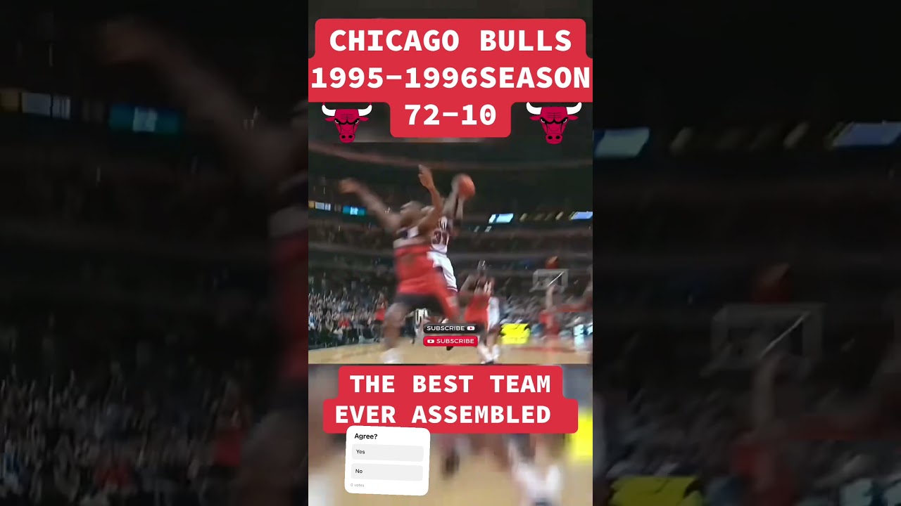 Chicago Bulls 95-96 Team 1